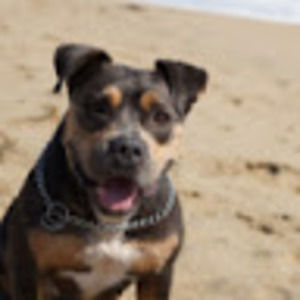 Meet your Posher, Marilyn